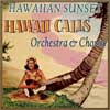 Hasegawa General Store - Hawaii Calls Orchestra